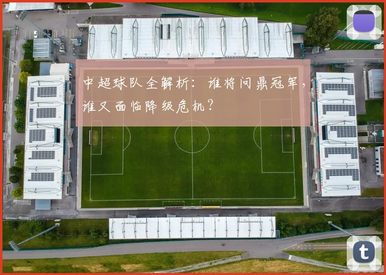 中超球队全解析：谁将问鼎冠军，谁又面临降级危机？