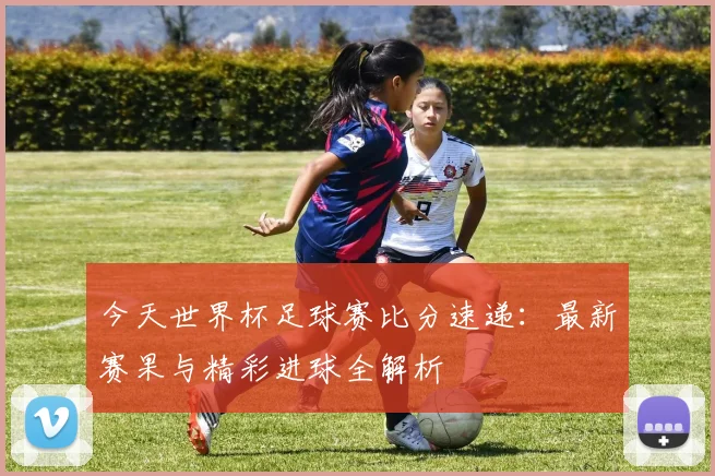 今天世界杯足球赛比分速递：最新赛果与精彩进球全解析